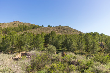 landscape of the Rambla de Hirmes area in Beninar (Spain)