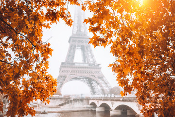 Autumn view of the Eiffel Tower in Paris through the yellow leaves - a bright sunny flare through the leaves on a cloudy autumn sky