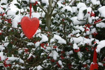 beautiful red wooden heart hangs on a snowy bush