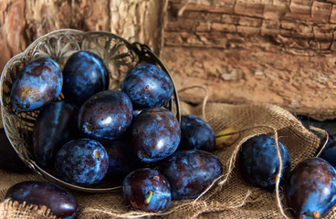 Plum. Fresh plum. Harvest. fresh blue plums on a dark table. Autumn harvest of plums. healthy eating concept. Food Photo
