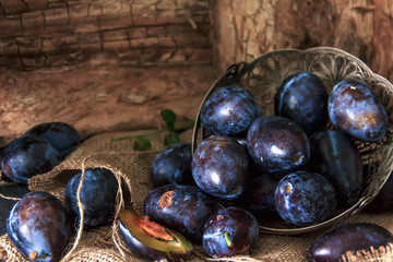 Plum. Fresh plum. Harvest. fresh blue plums on a dark table. Autumn harvest of plums. healthy eating concept. Food Photo