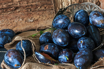 Plum. Fresh plum. Harvest. fresh blue plums on a dark table. Autumn harvest of plums. healthy eating concept. Food Photo