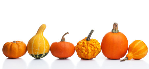 decorative autumn pumpkins isolated on white