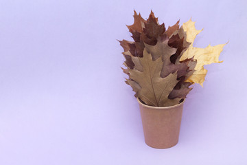 Autumn composition. Maple leaves on paper cup on violet background. Flat lay, top view, copy space. Minimal. Fall background.