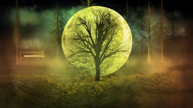 Halloween background loop with bright moon and autumn silhouette trees
