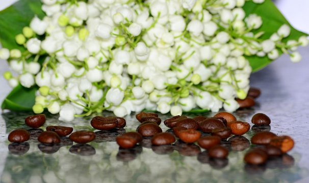 Beautiful card with the inscription of early spring flowers of lilies of the valley and fragrant coffee beans