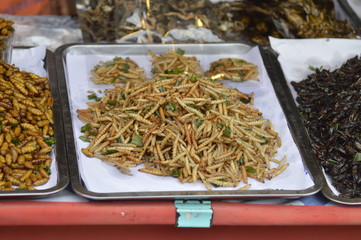 Fried worms