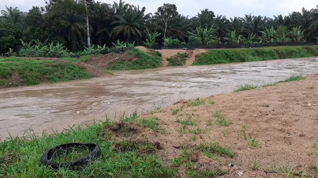 A river after heavy rainfall in kluang, johor, malaysia southeast asia