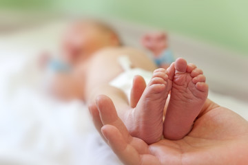 Infant heels in mother's  hands