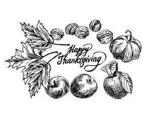 Happy Thanksgiving lettering. Autumn harvest in line art style.