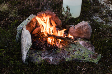 fire in the forest