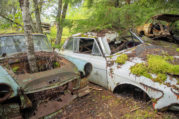 Autowracks auf dem Autofriedhof in Bastnäs