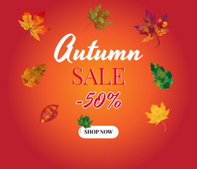 Autumn, Fall Sale Background Layout with leaves. Promo, sales poster, web banner, flyer. Vector illustration template.