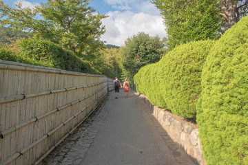 竹壁のある路地