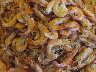 shrimp in market