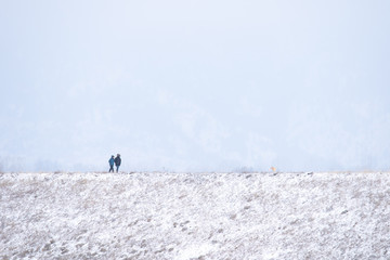 Fototapeta na wymiar Couple walking outside in snowy weather with their dog