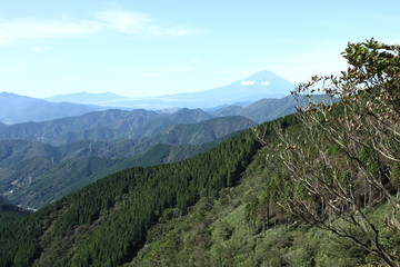塔ノ岳の尾根から望む富士山	