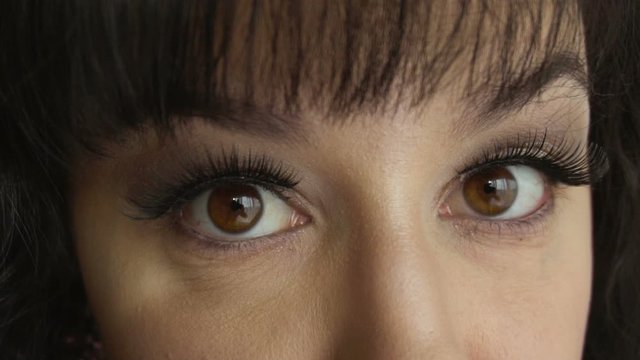 Closeup female face with long false eyelashes opens her brown eyes and looks at the camera. Handsome brunette girl model with attractive makeup. Natural and clean skintone.