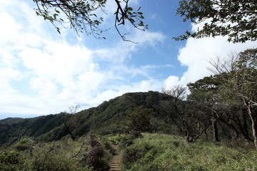 塔ノ岳の登山道から見える景色