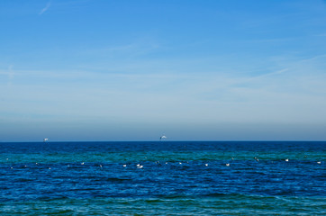 Deep blue ocean with some white seagulls swimming on it and a wide horizon