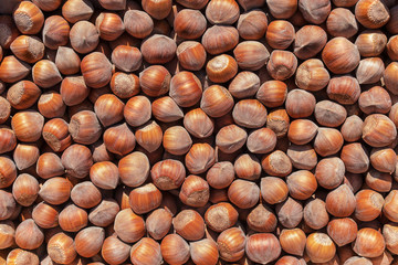 Top view of hazelnut