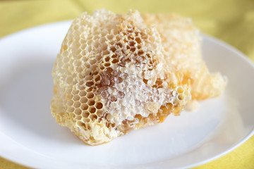 Honeycomb with honey collected by hand, delicious biological product