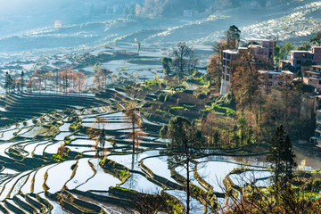 Fototapeta premium Small village and Terraced rice fields of YuanYang , China in the morning