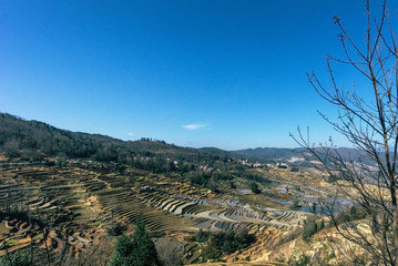 Small village and Terraced rice fields of YuanYang , China in the morning