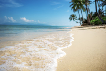 tropical beach of samui island in thailand with clear water