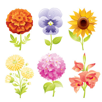 Autumn flower icon set. Cartoon floral blossom, fall garden vector illustration. marigold, pansies, sunflower, chrysanthemum, hydrangea, gladiolus. Decoration design. Isolated on white background
