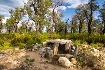 Dolmen en el paraje de "els estanys"La Junquera,Girona