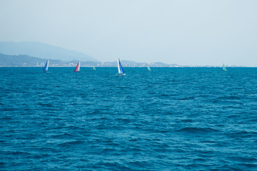 Obraz premium Sailing. Yachting sport. Sailboats at sea. Many sailboats along the sea coast.