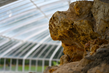 Rocher dans la serre