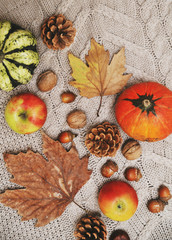 Autumn flat lay background. Pumpkins, apples, nuts,leaves, cups and sweater on wooden background.