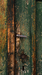 Closeup on old, wooden, green door with fixed vintage door handle