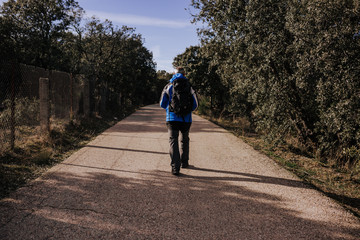 caucasian man walking in a path in nature. sunny day. back view