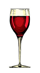 illustration of wine glass