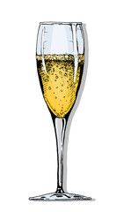illustration of champagne glass.