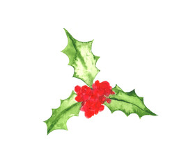 Christmas holly watercolor hand painted illustration