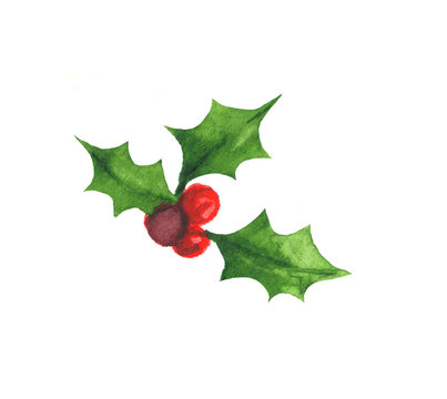 Christmas holly watercolor hand painted illustration