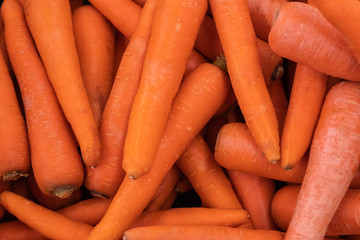 Many Organic carrot. Food background. Pattern