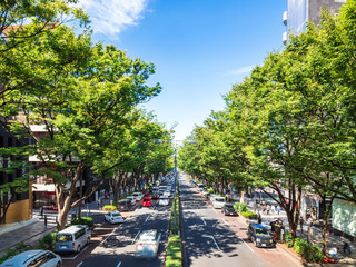 東京　原宿・表参道