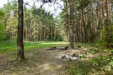 Picnic area in the forest. A fireplace and a place to relax. Russia.