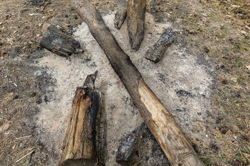 A place from a bonfire in a forest with large logs.