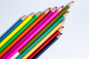 A variety of wood colors, including sharpening and bark on a white background