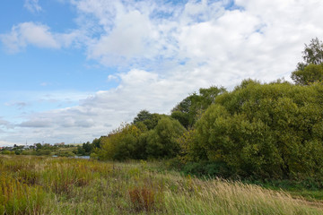 Summer landscape with green grass and clouds