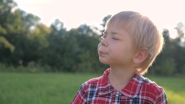 little boy portrait concept happy family. boy blond son looking up portrait slow motion video in nature in a lifestyle plaid shirt sunlight glare happy childhood concept