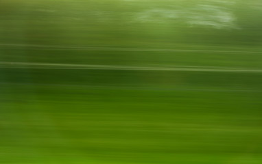 Trees in motion as an abstract background.