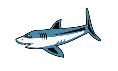 illustration of shark - Vector art