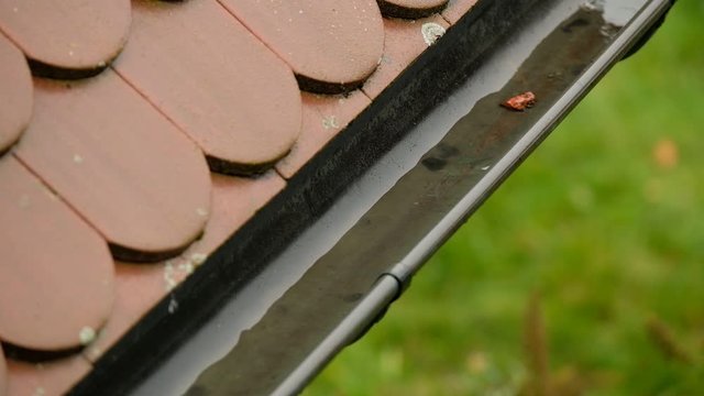 Water dripping into a rain gutter made of copper in front of the green garden in Germany on a rainy autumn day in October